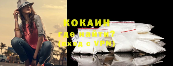 мдпв Осинники