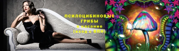 мдпв Осинники